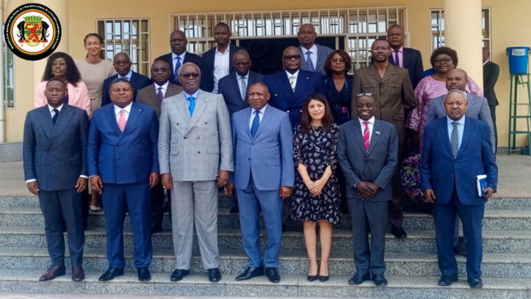 La reprise du programme « tree » en République du Congo